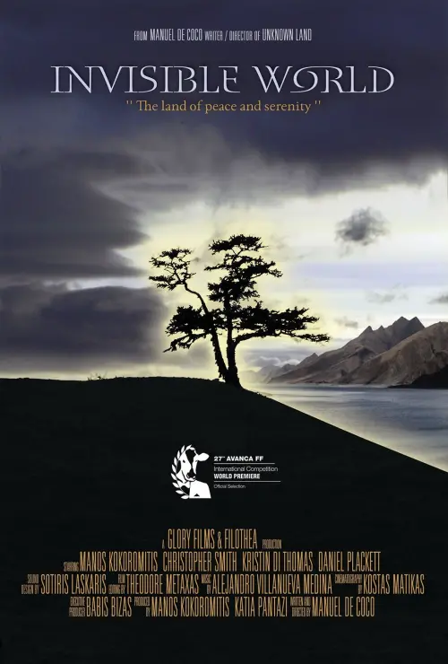 Movie poster "Invisible World"