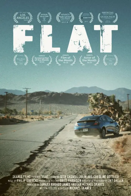 Movie poster "Flat"