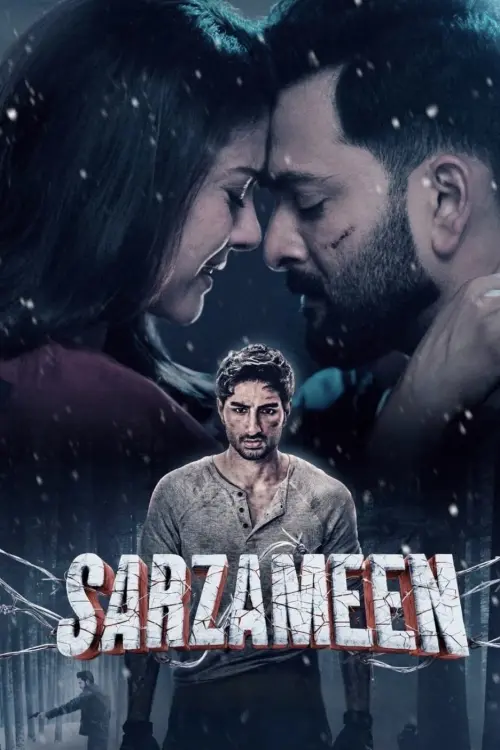Movie poster "Sarzameen"