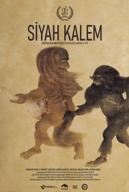 Movie poster "Siyah Kalem"