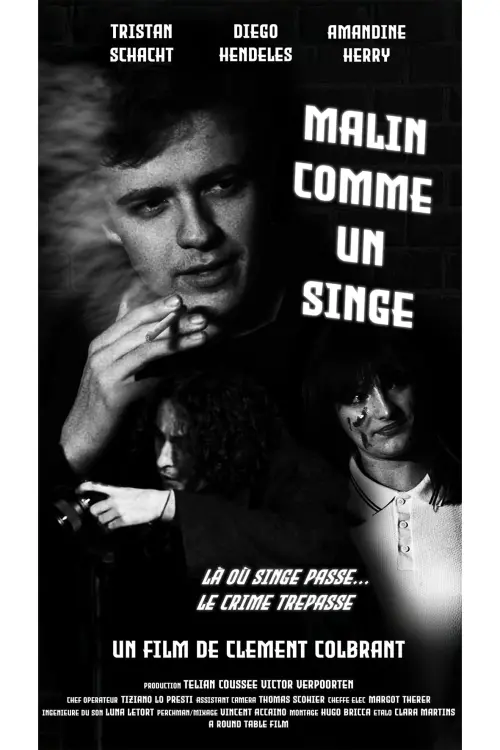 Movie poster "Malin comme un singe"