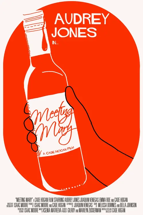 Movie poster "Meeting Mary"