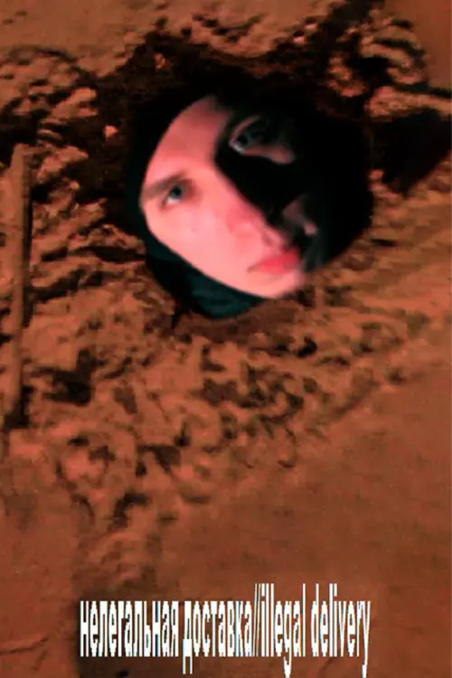 Movie poster "нелегальная доставка//illegal delivery"