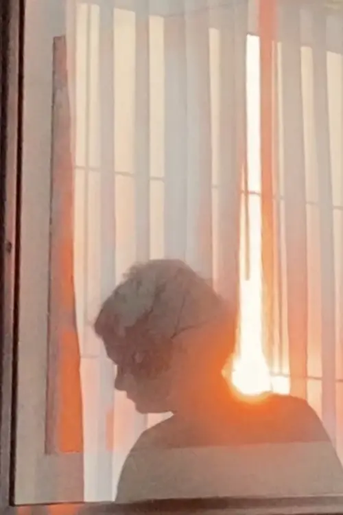 Movie poster "You Won’t Find Me in the Wind"