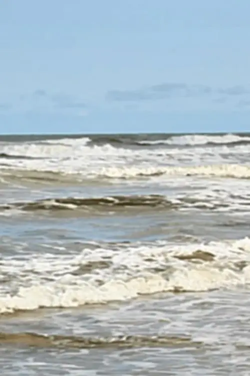 Movie poster "Marés"