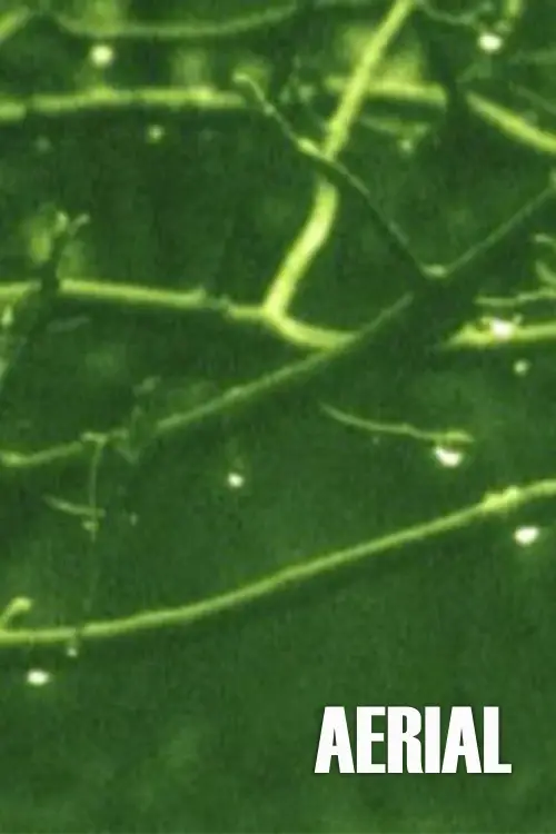 Movie poster "Aerial"