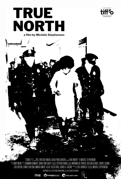 Movie poster "True North"