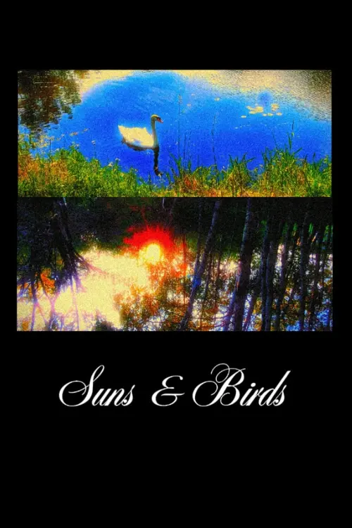 Movie poster "Suns & Birds"