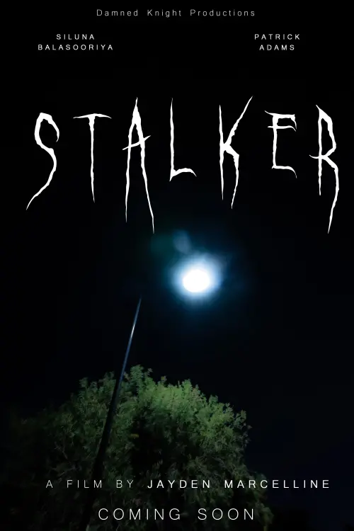 Movie poster "STALKER"