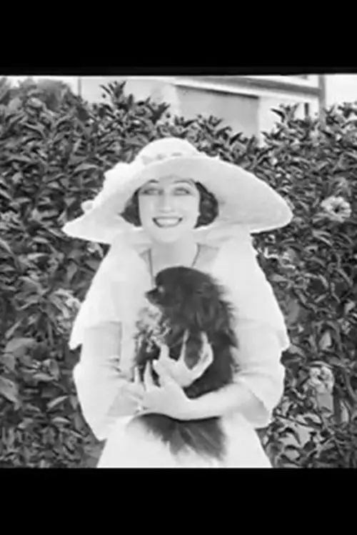 Movie poster "Our Film Stars"