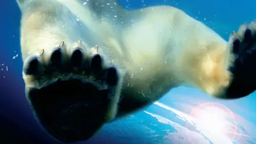 Watch film Earth | Earth- Official Movie Trailer (watch in HD!)