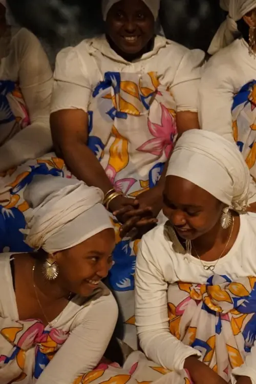 Movie poster "Zanatany, L