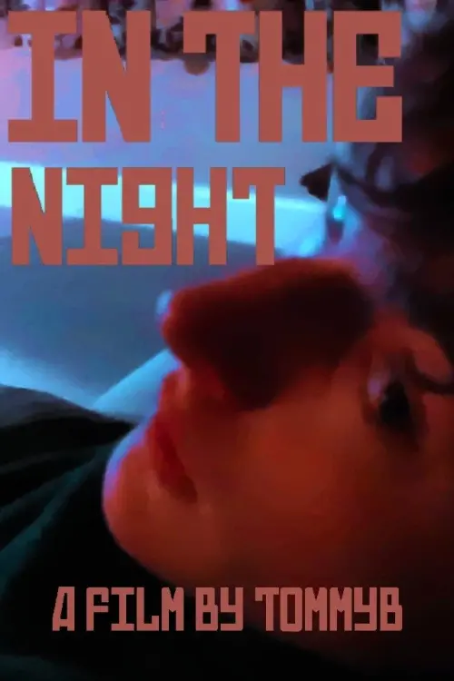 Movie poster "In The Night"