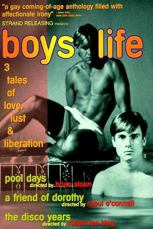 Movie poster "Boys Life"