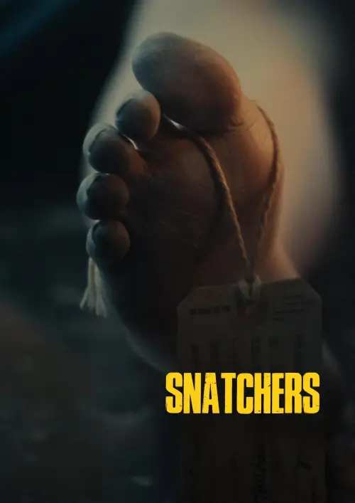 Movie poster "Snatchers"