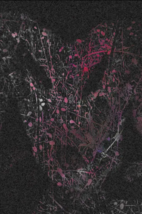 Movie poster "howtobakeacake"