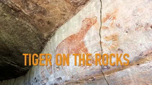 Watch film Tiger on the Rocks | Tiger on the Rocks TRAILER