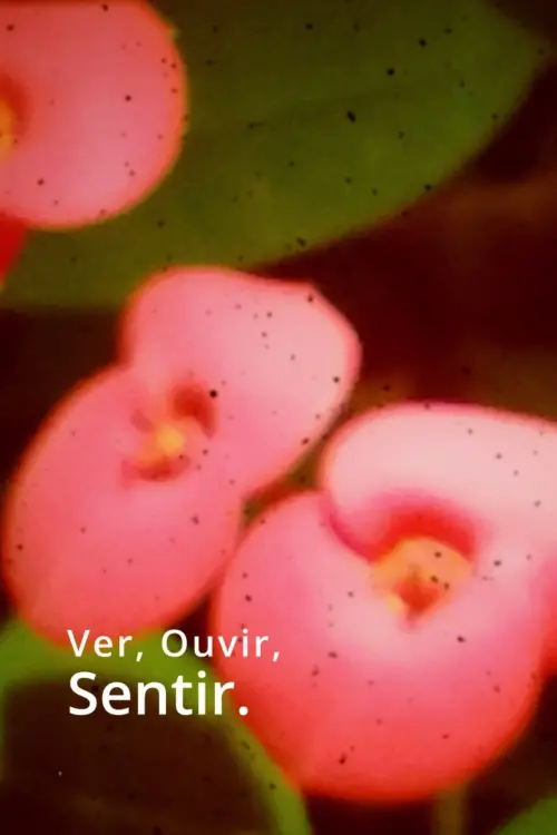 Movie poster "Ver, Ouvir, Sentir."