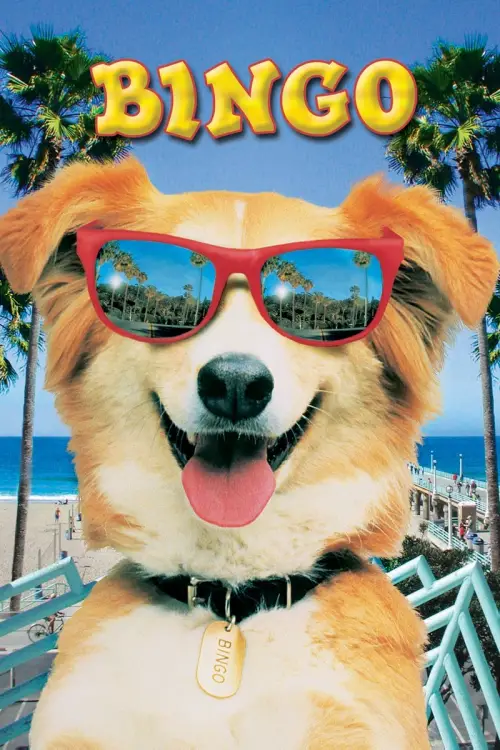 Movie poster "Bingo"
