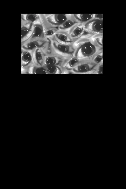 Movie poster "Entering The Void"