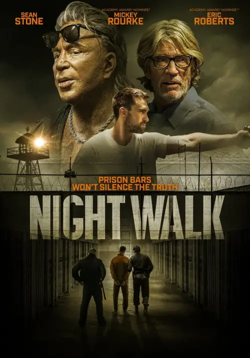 Movie poster "Night Walk"