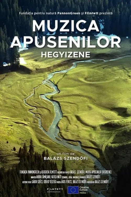 Movie poster "Hegyizene - Muzica Apusenilor"