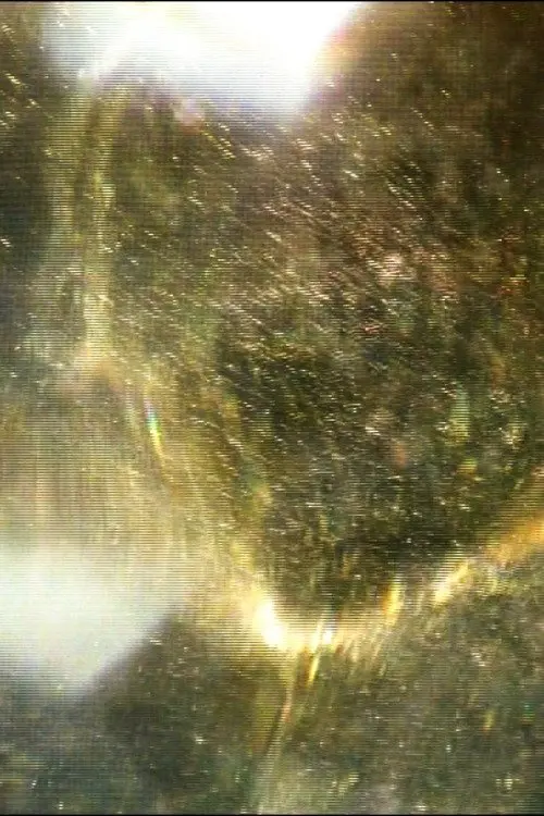 Movie poster "The Dithering Veil"