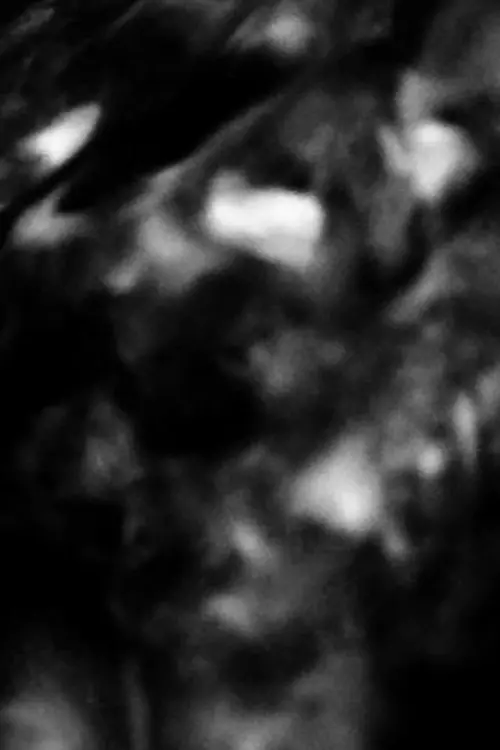 Movie poster "Out/In"