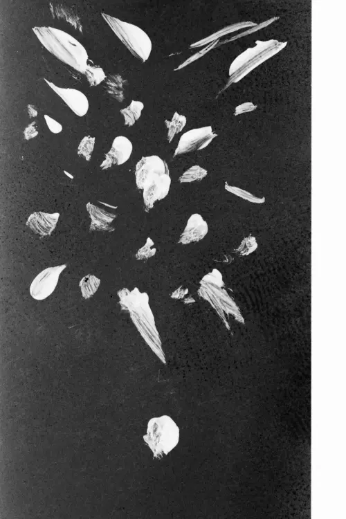 Movie poster "Project Blowup"