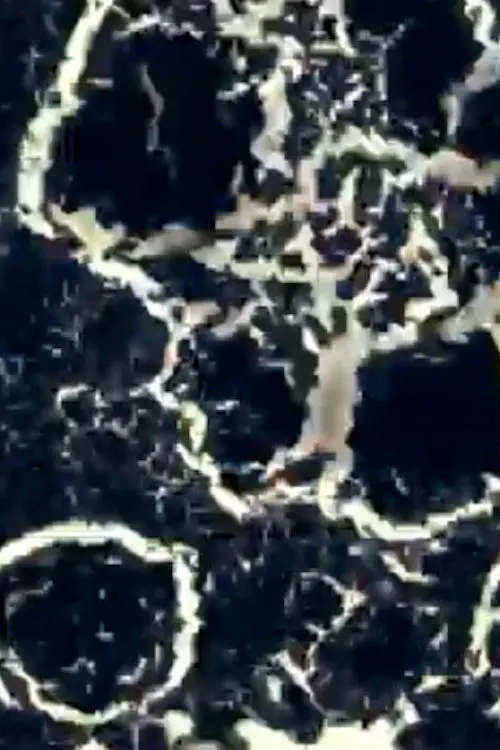 Movie poster "Test 1"