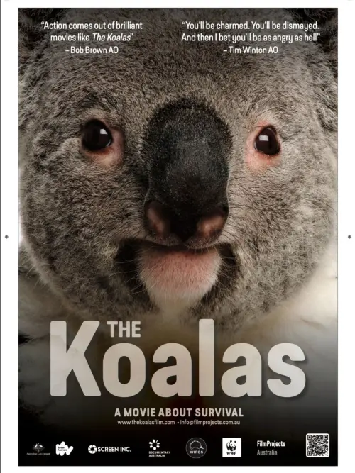 Movie poster "The Koalas"