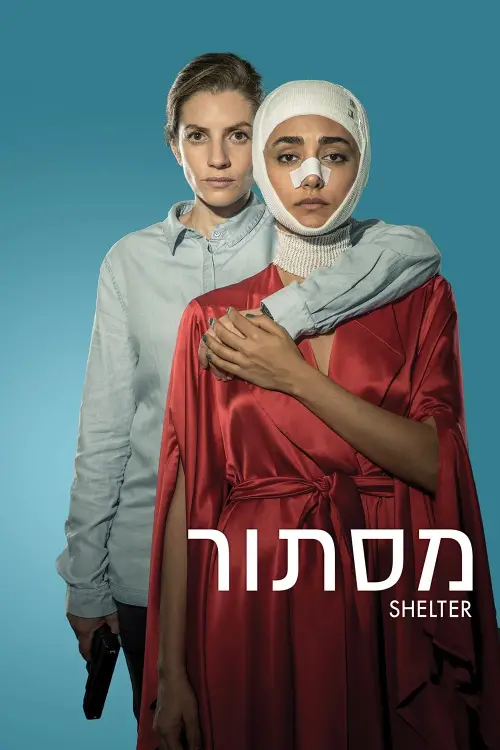 Movie poster "Shelter"