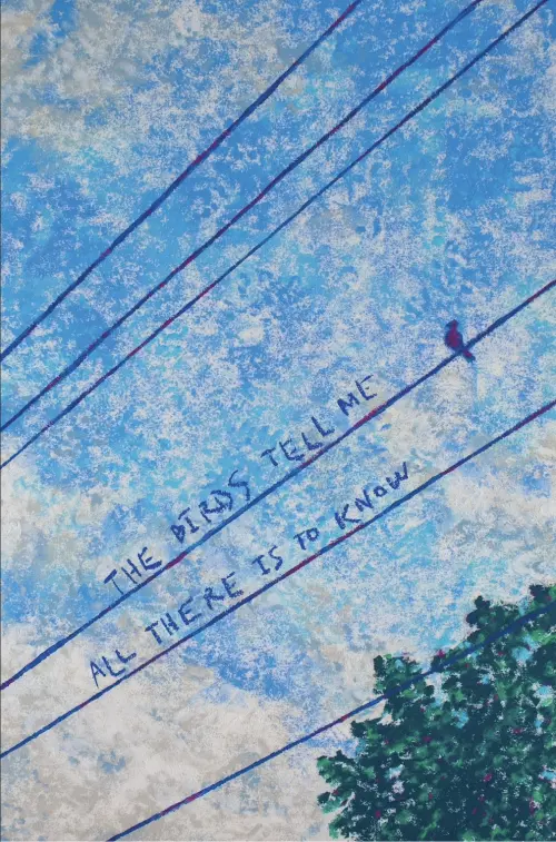 Movie poster "The Birds Tell Me All There Is To Know"