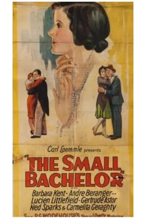 Movie poster "The Small Bachelor"