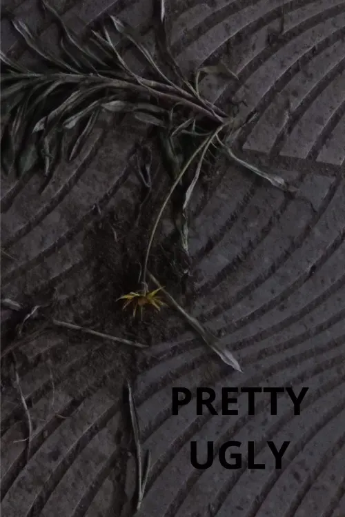 Movie poster "Pretty Ugly"