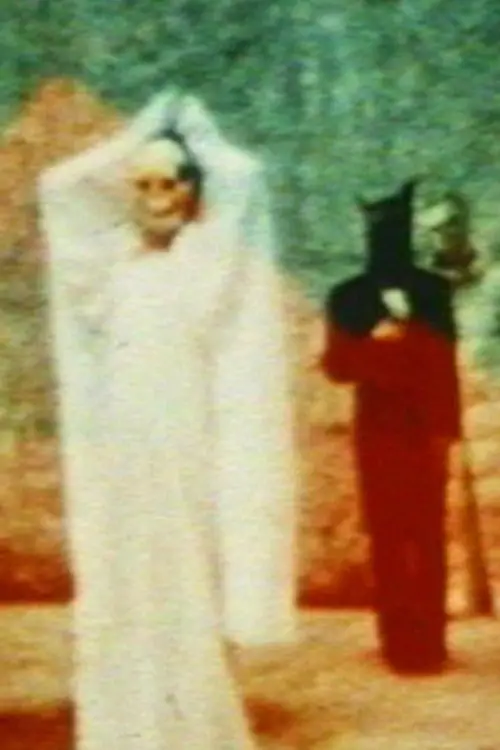 Movie poster "In the Shadow of the Sun"