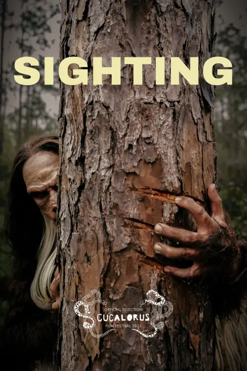Movie poster "Sighting"