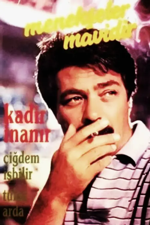 Movie poster "Menekşeler Mavidir"