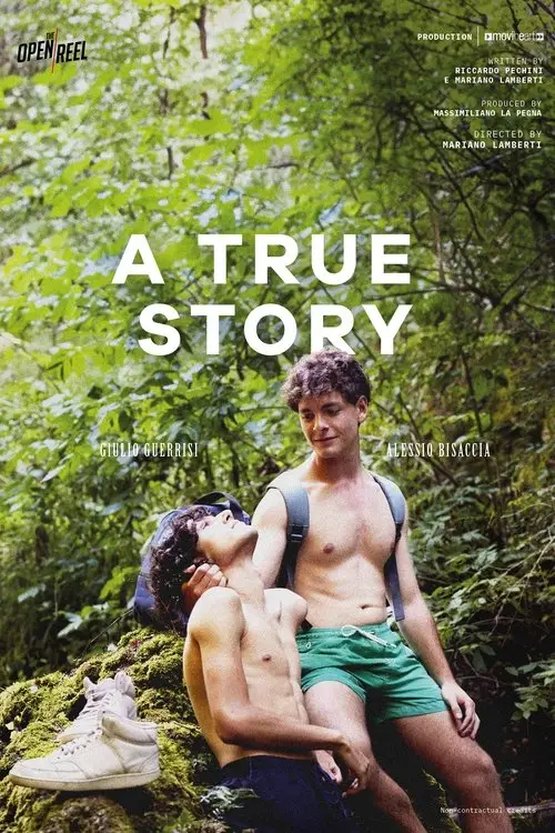 Movie poster "A True Story"