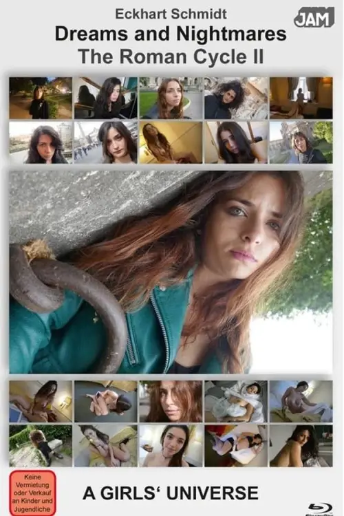 Movie poster "Eckhart Schmidt Interview 2"