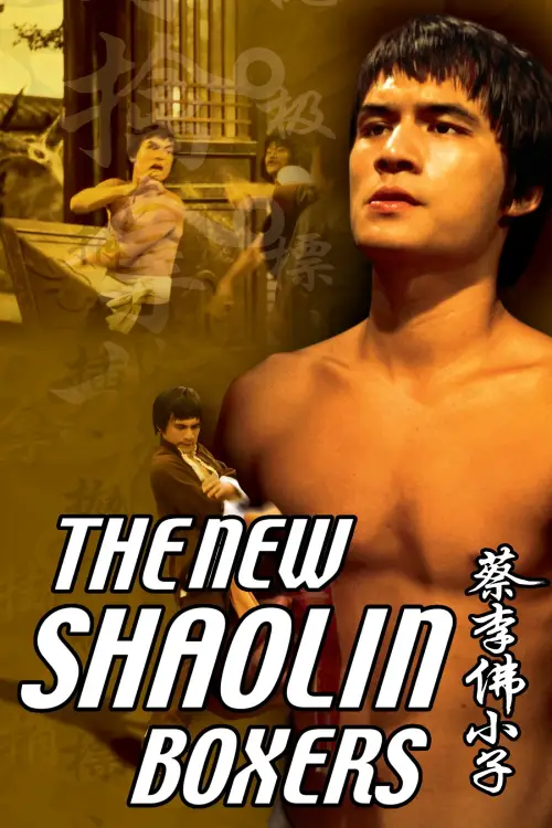 Movie poster "The New Shaolin Boxers"