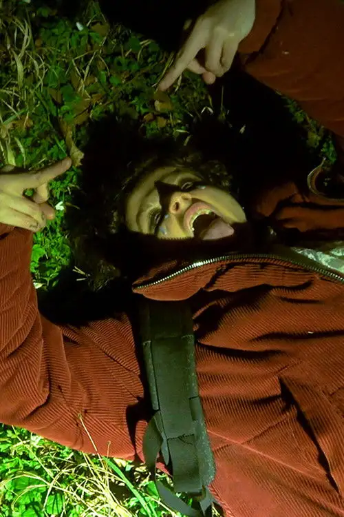 Movie poster "WOLFGANG"