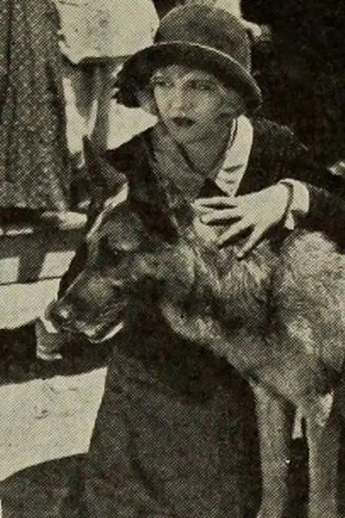 Movie poster "North Star"