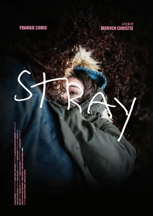 Movie poster "Stray"