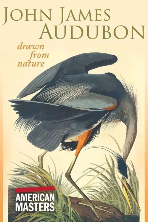 Movie poster "John James Audubon: Drawn From Nature"