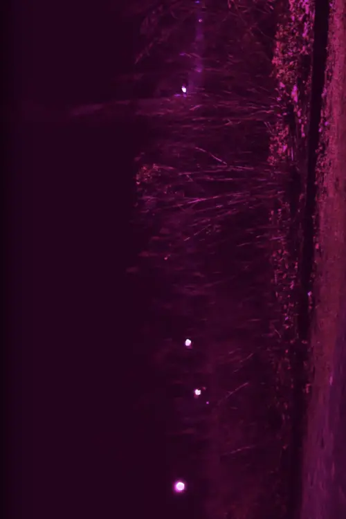 Movie poster "STARLIT"