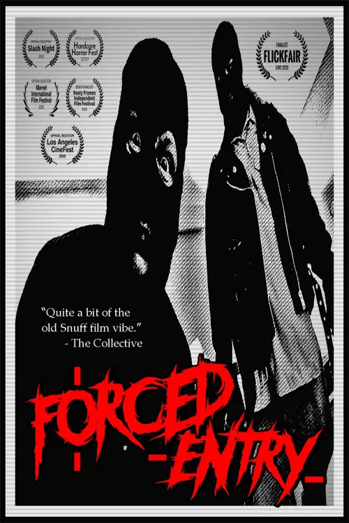 Movie poster "Forced Entry"