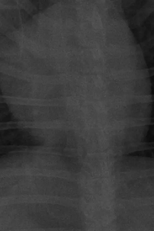 Movie poster "MI PEOR ENEMIGO."