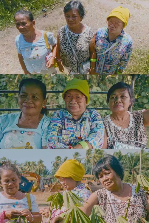 Movie poster "Peaceland"