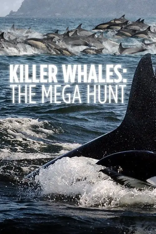 Movie poster "Killer Whales: the Mega Hunt"